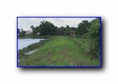 [Click to enlarge]